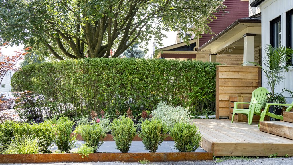 A beautiful garden by Earth and Sole Ltd, featuring a natural flagstone pathway leading to a wooden bench surrounded by lush perennial plants and trees, with a retaining wall in the background.