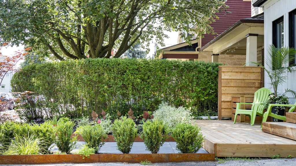 A beautiful garden by Earth and Sole Ltd, featuring a natural flagstone pathway leading to a wooden bench surrounded by lush perennial plants and trees, with a retaining wall in the background.